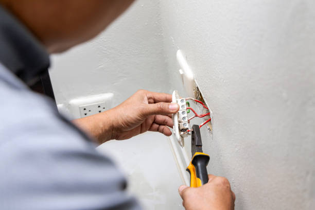 Best Electrical Upgrades for Homes  in El Cenizo, TX